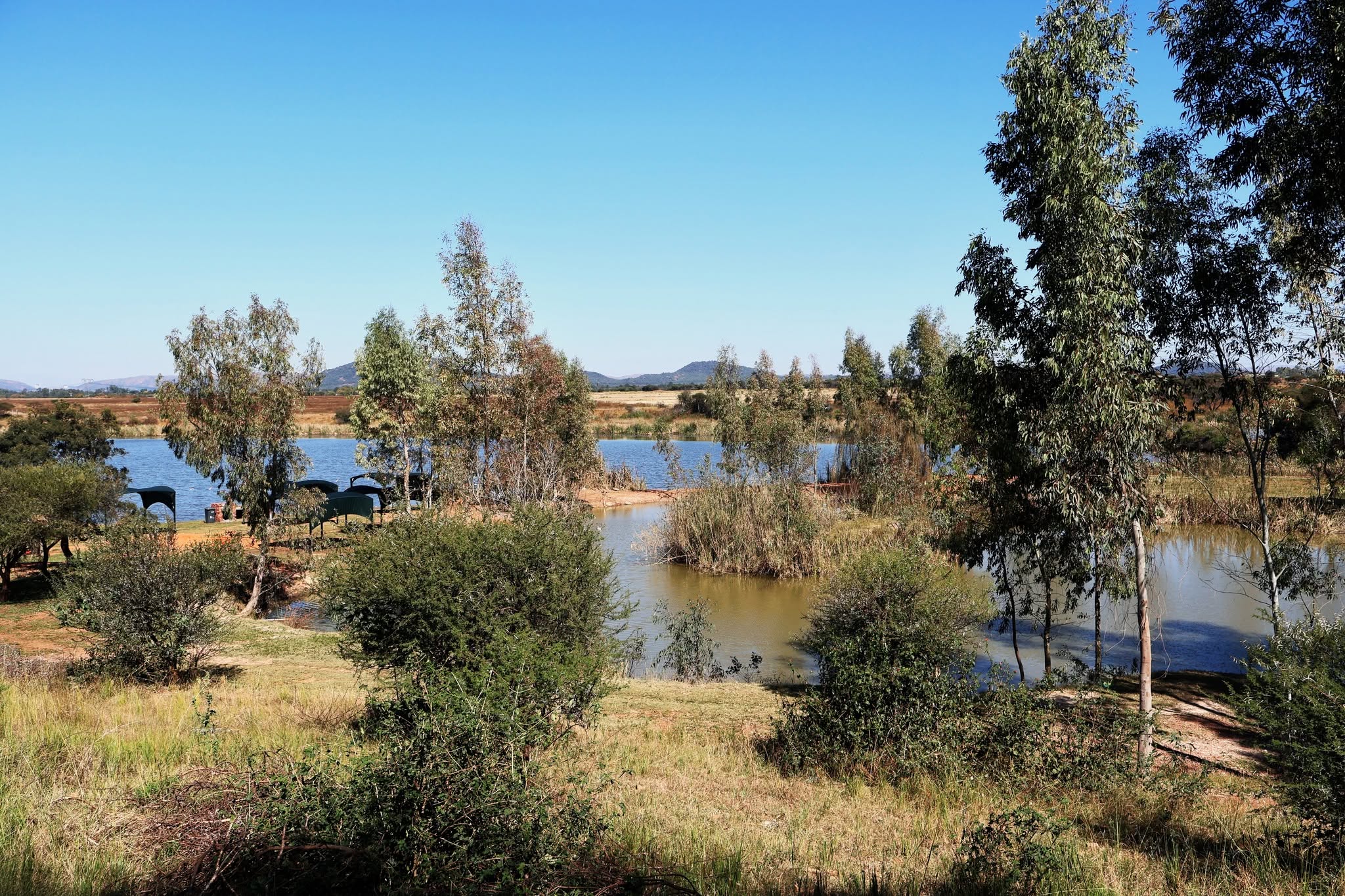 Lock Nest Fishing – Pretoria Fishing Venue Review