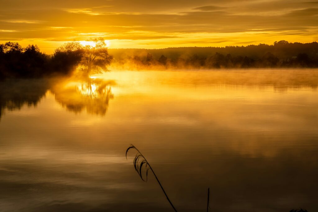 Scenic fishing water at sunrise for the Zonderwater Dam fishing review